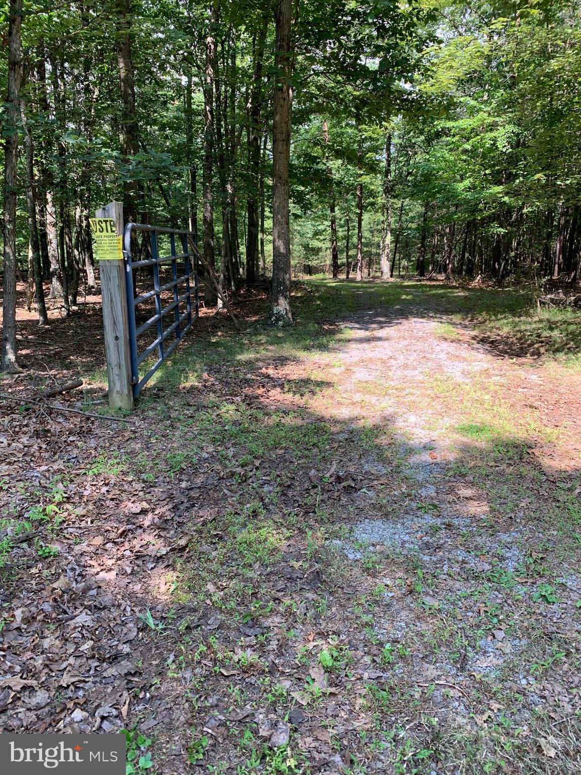 Lot 1 Timber Ridge Route Berkeley Springs, WV 25411 - Photo 4 of 74