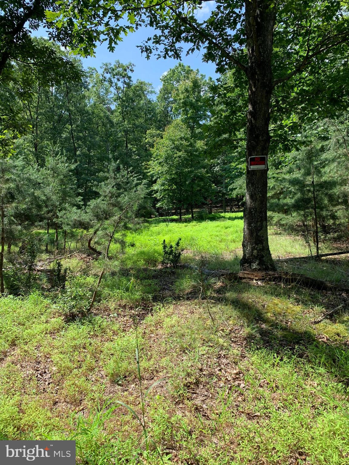 Lot 1 Timber Ridge Route Berkeley Springs, WV 25411 - Photo 5 of 74