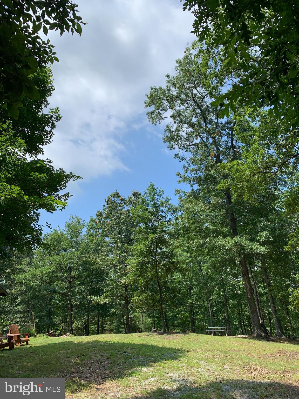Lot 1 Timber Ridge Route Berkeley Springs, WV 25411 - Photo 45 of 74