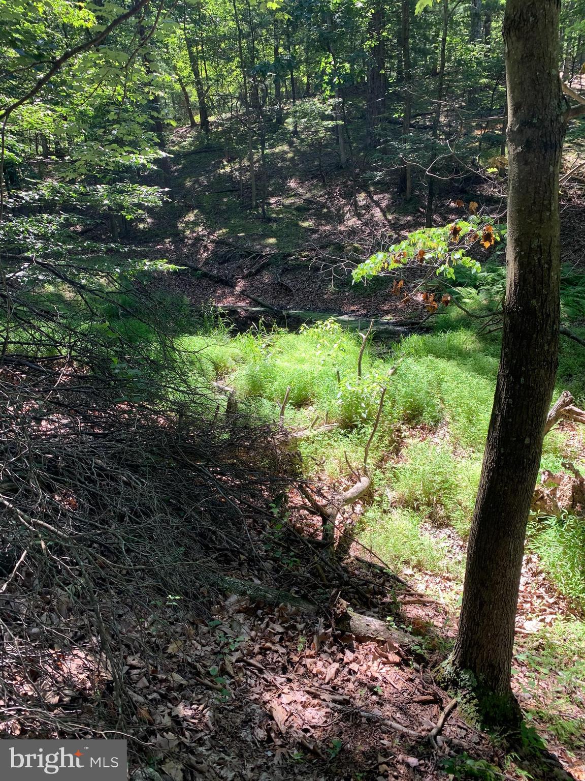 Lot 1 Timber Ridge Route Berkeley Springs, WV 25411 - Photo 46 of 74