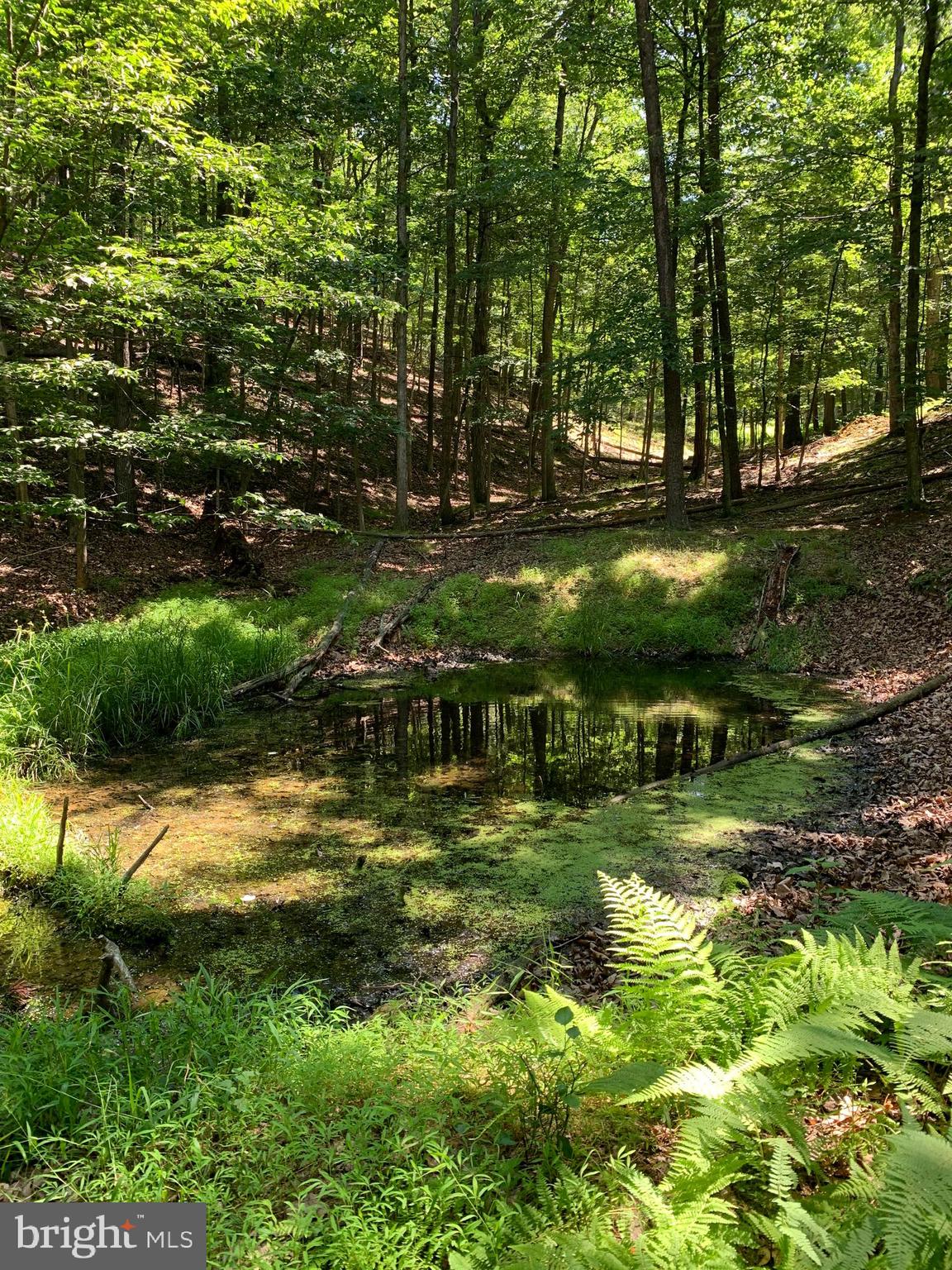 Lot 1 Timber Ridge Route Berkeley Springs, WV 25411 - Photo 47 of 74