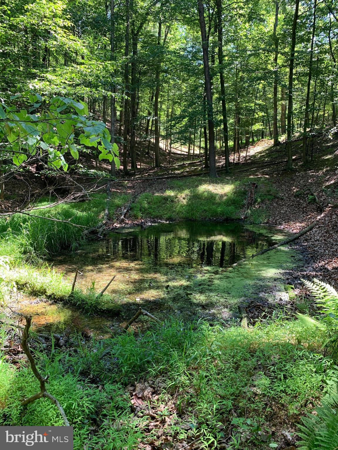 Lot 1 Timber Ridge Route Berkeley Springs, WV 25411 - Photo 48 of 74