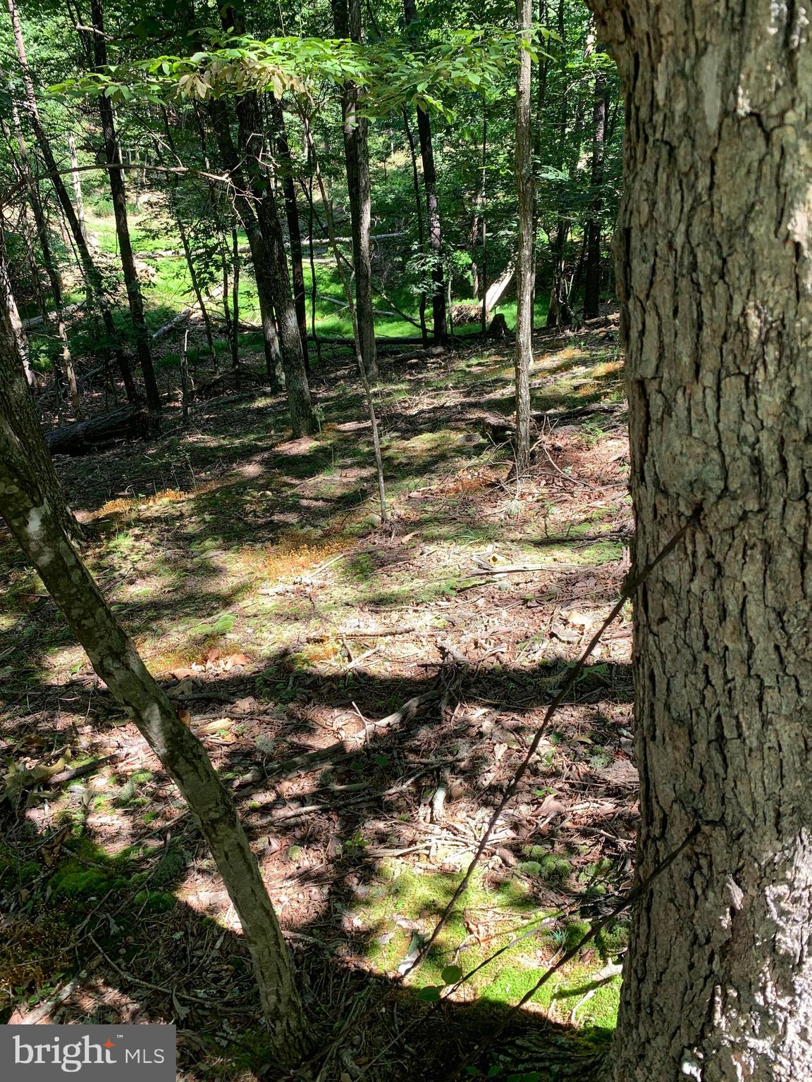 Lot 1 Timber Ridge Route Berkeley Springs, WV 25411 - Photo 50 of 74
