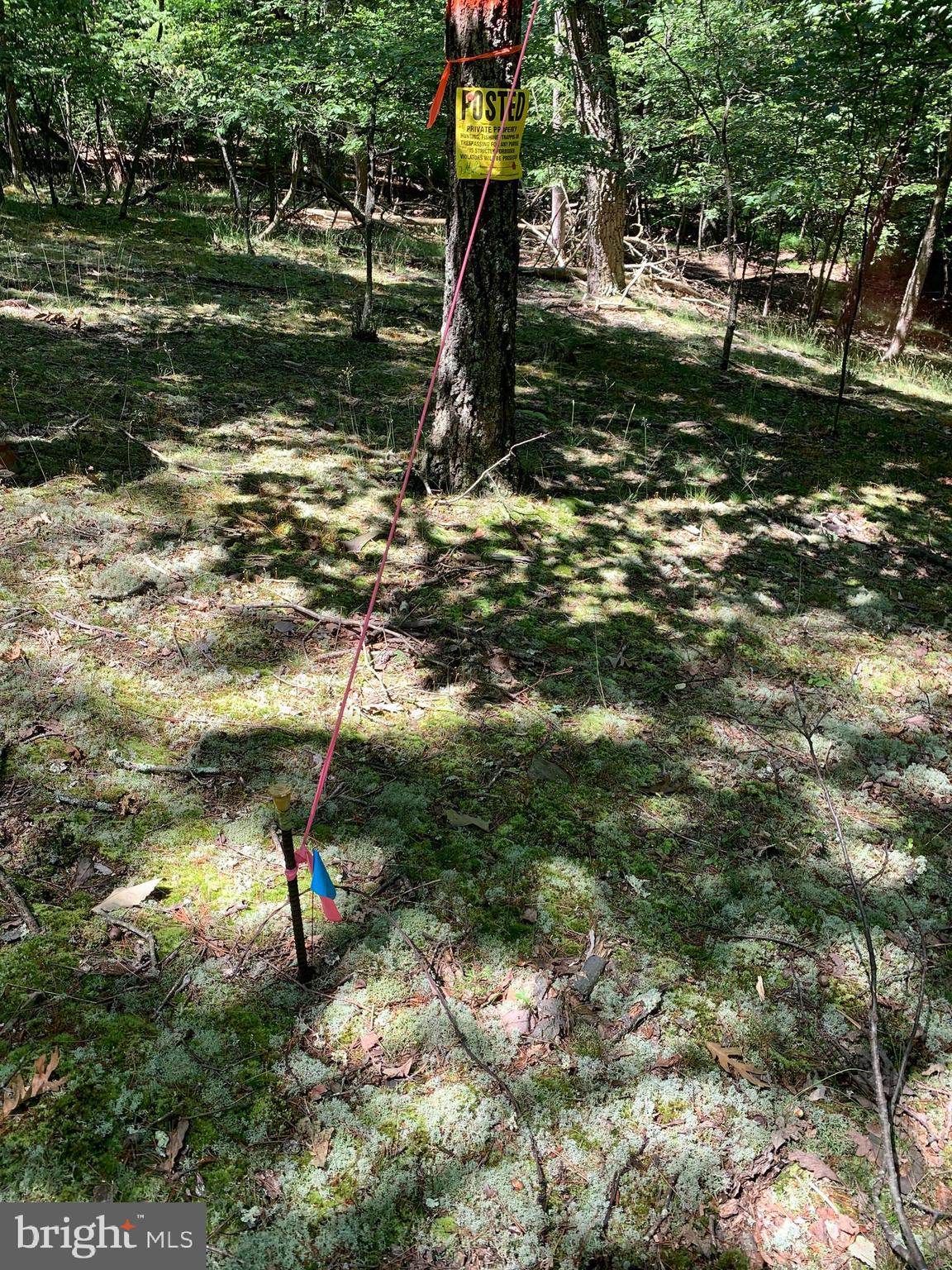 Lot 1 Timber Ridge Route Berkeley Springs, WV 25411 - Photo 51 of 74
