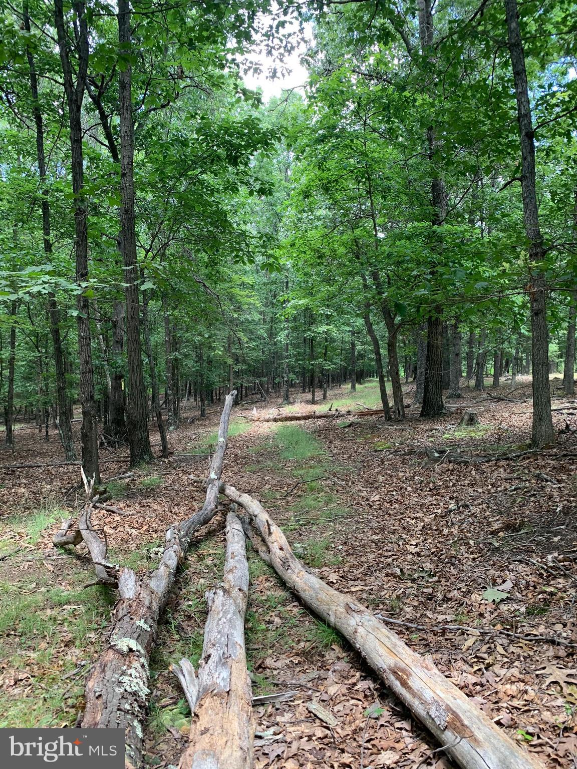 Lot 1 Timber Ridge Route Berkeley Springs, WV 25411 - Photo 52 of 74