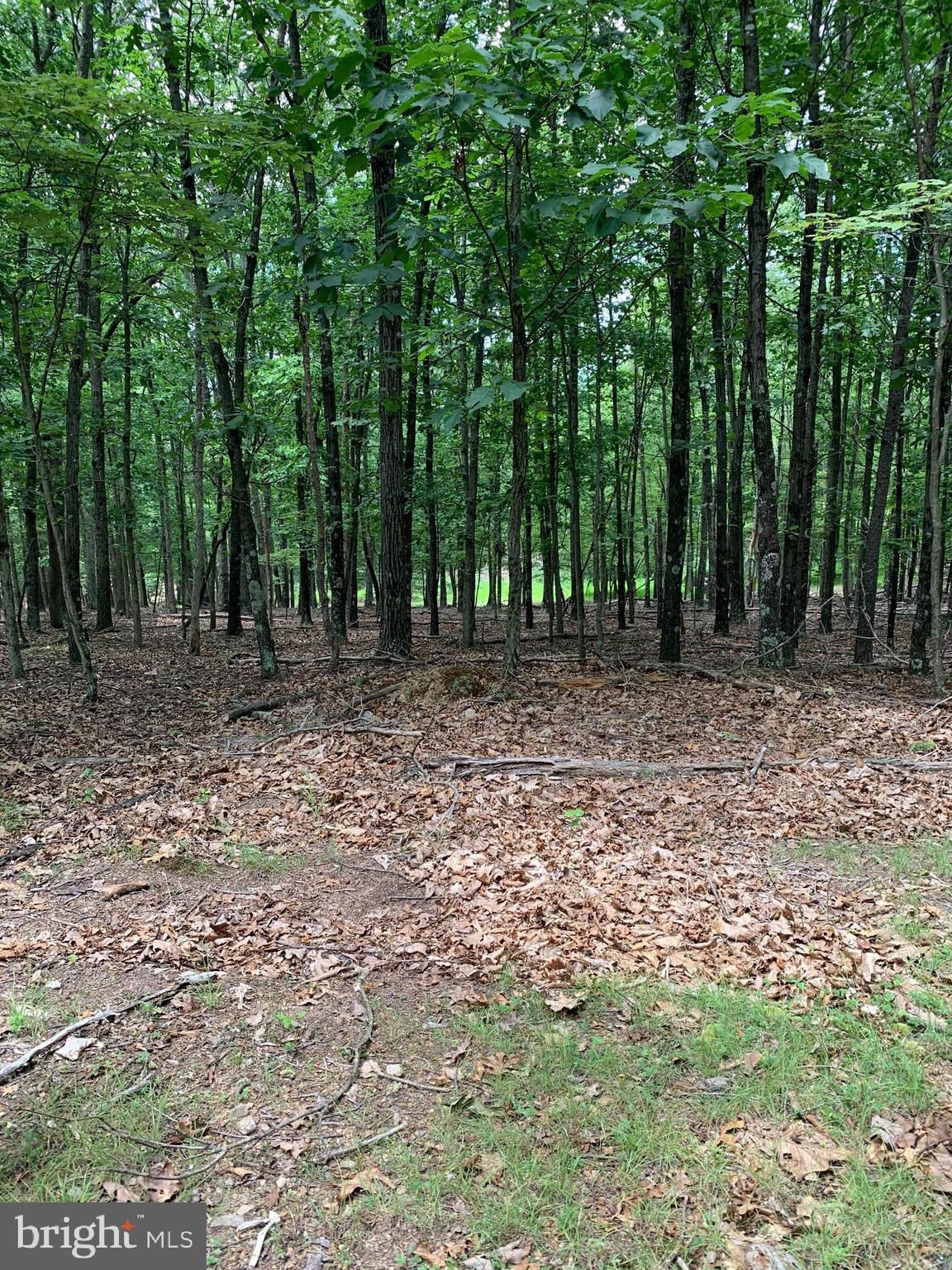 Lot 1 Timber Ridge Route Berkeley Springs, WV 25411 - Photo 53 of 74