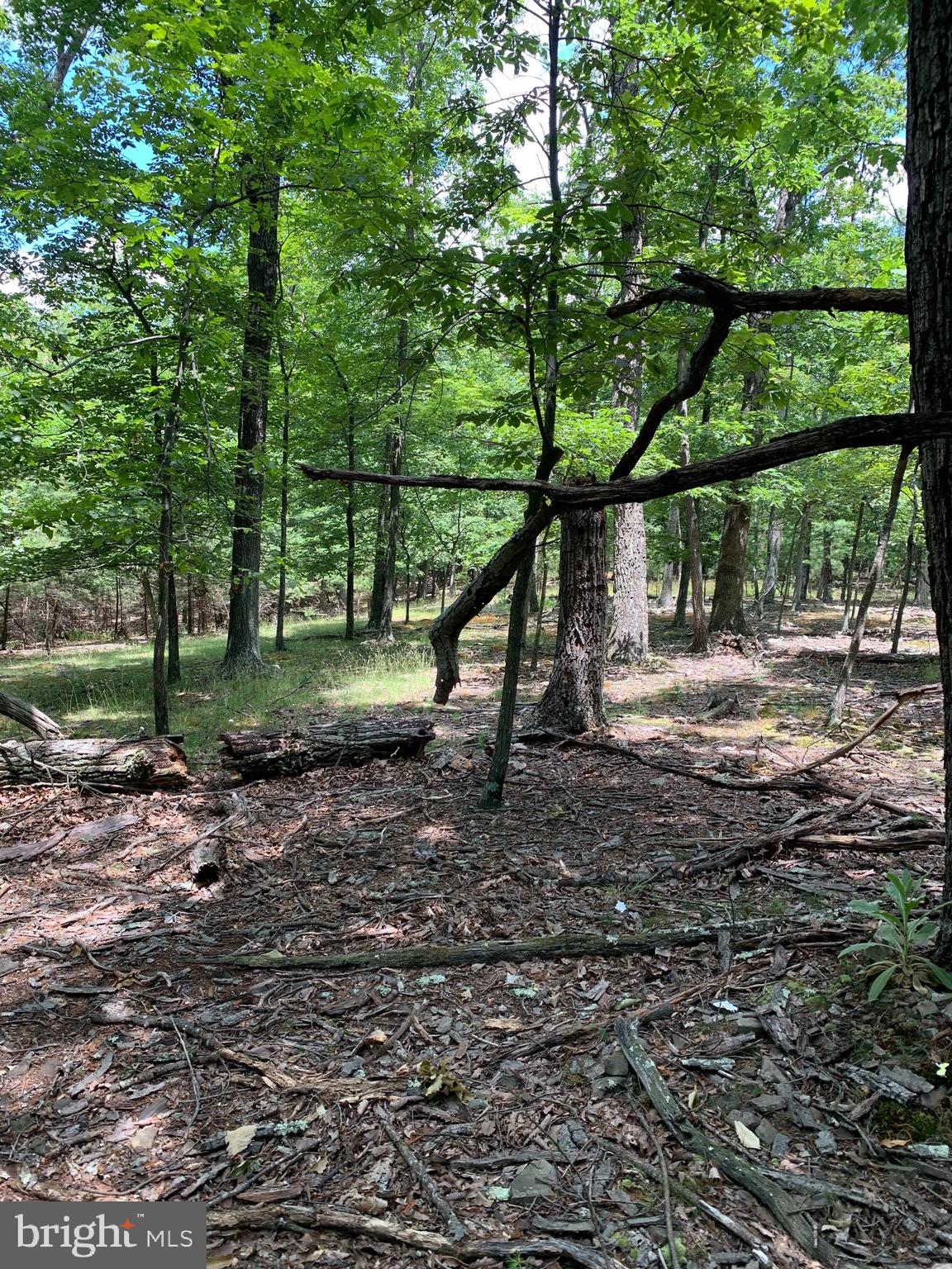 Lot 1 Timber Ridge Route Berkeley Springs, WV 25411 - Photo 55 of 74