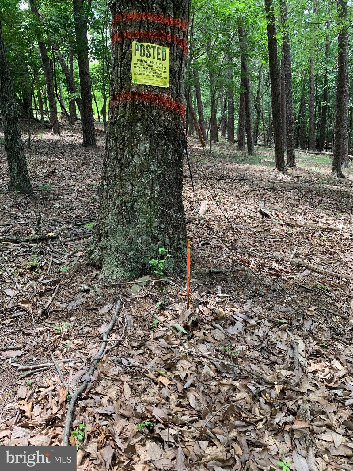Lot 1 Timber Ridge Route Berkeley Springs, WV 25411 - Photo 56 of 74