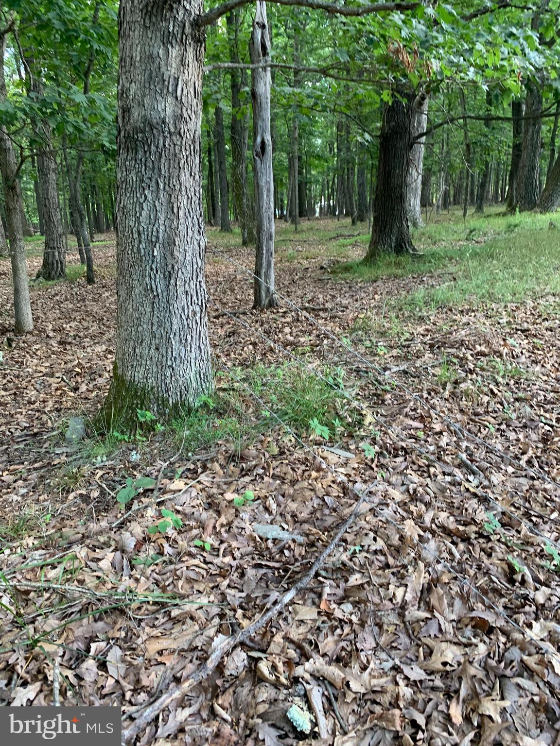 Lot 1 Timber Ridge Route Berkeley Springs, WV 25411 - Photo 59 of 74