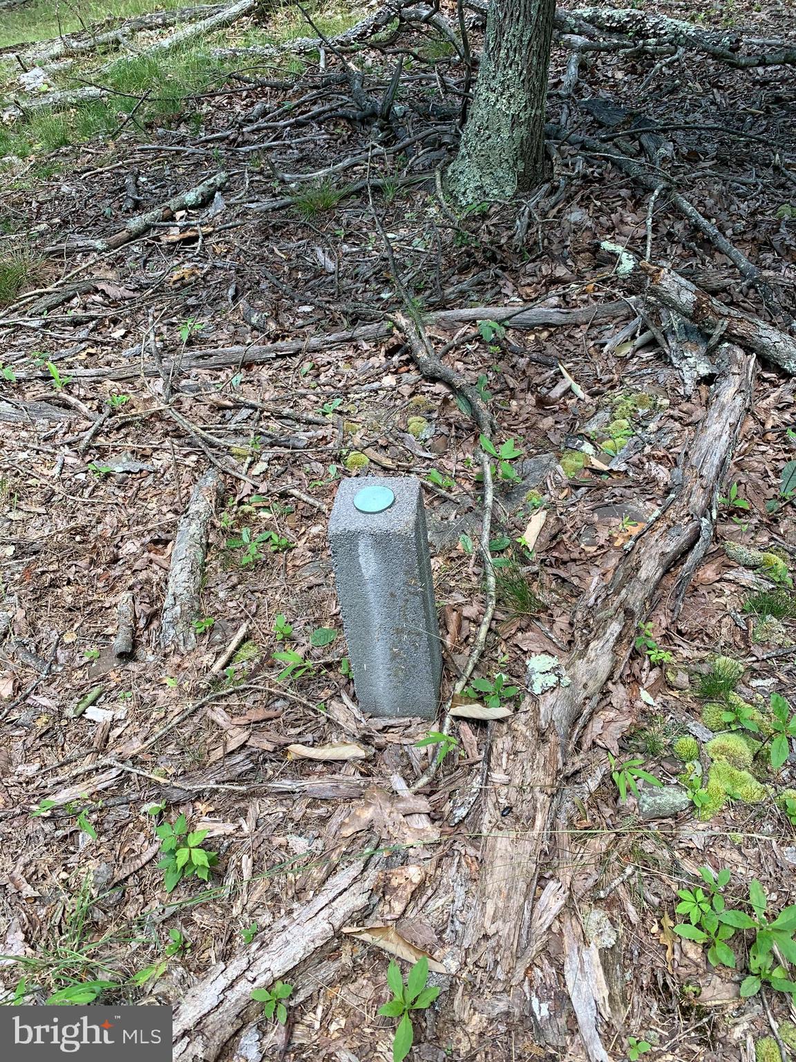 Lot 1 Timber Ridge Route Berkeley Springs, WV 25411 - Photo 62 of 74