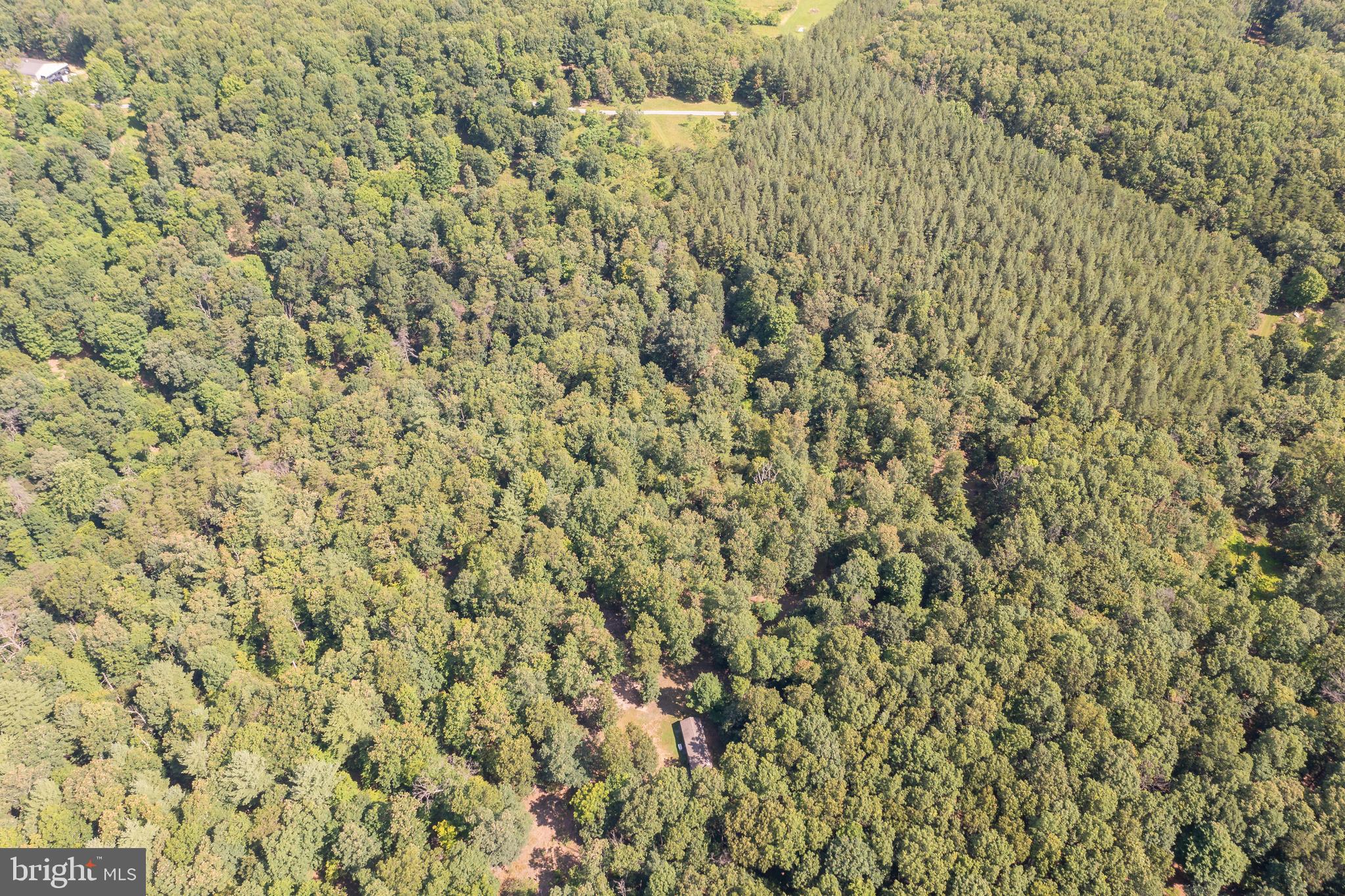 Lot 1 Timber Ridge Route Berkeley Springs, WV 25411 - Photo 64 of 74