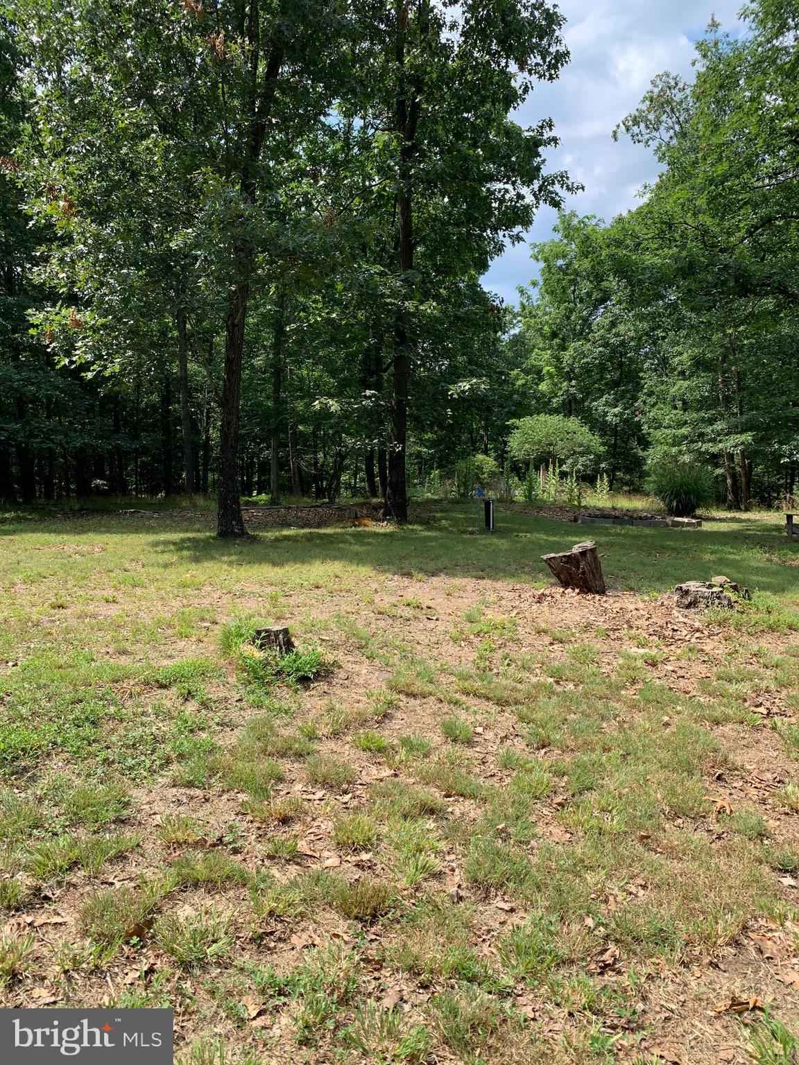 Lot 1 Timber Ridge Route Berkeley Springs, WV 25411 - Photo 10 of 74