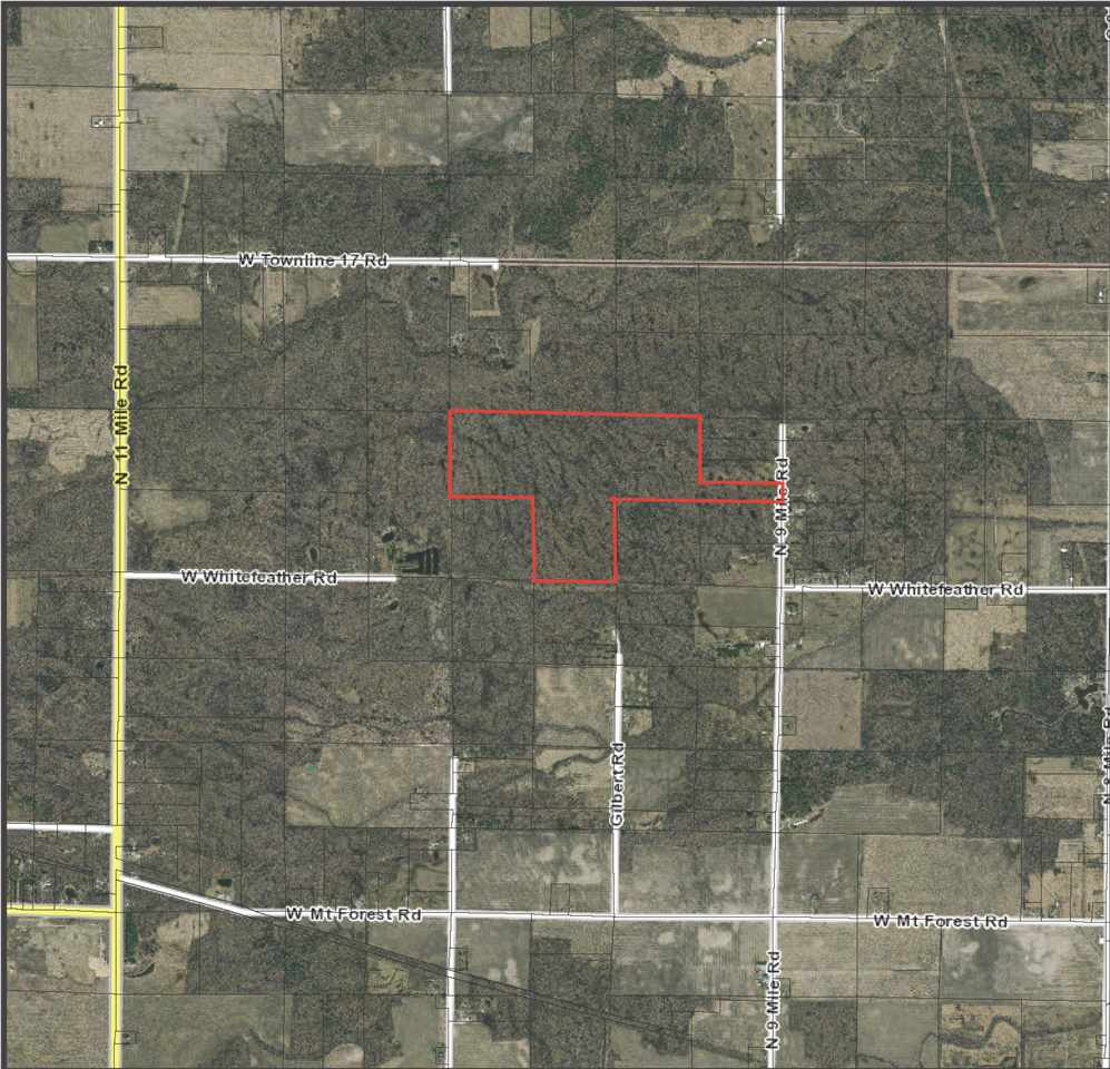 0 Nine North Nine Mile Road Pinconning, MI 48650 - Photo 1 of 32