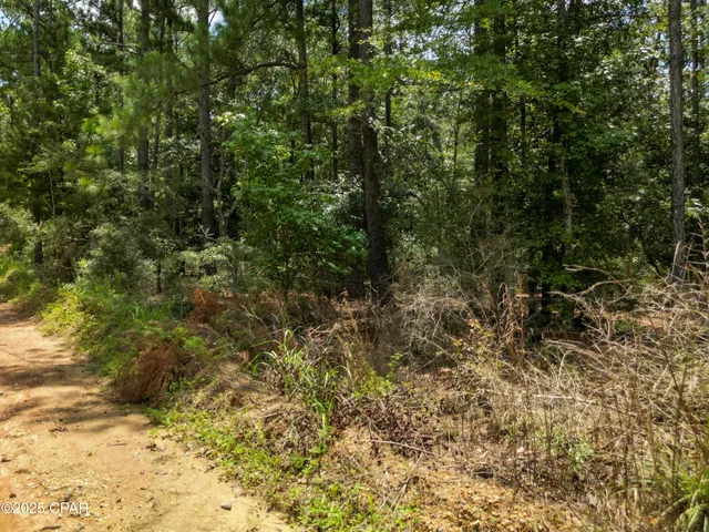 $99,900 | Tbd Creek Run Road, Vernon, FL 32462