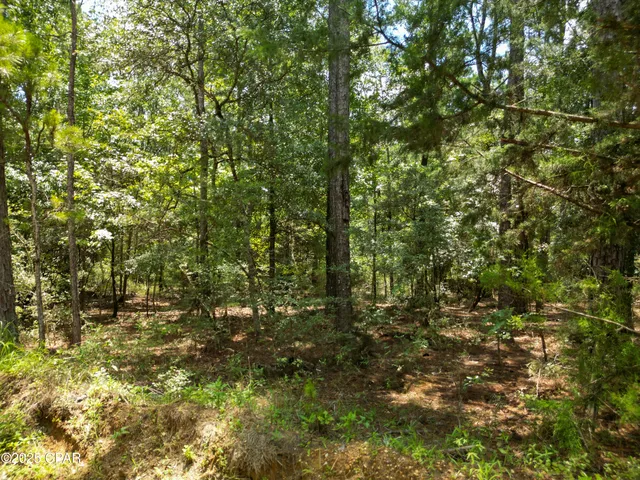 $99,900 | Tbd Creek Run Road, Vernon, FL 32462