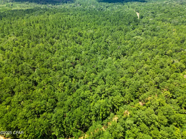$99,900 | Tbd Creek Run Road, Vernon, FL 32462