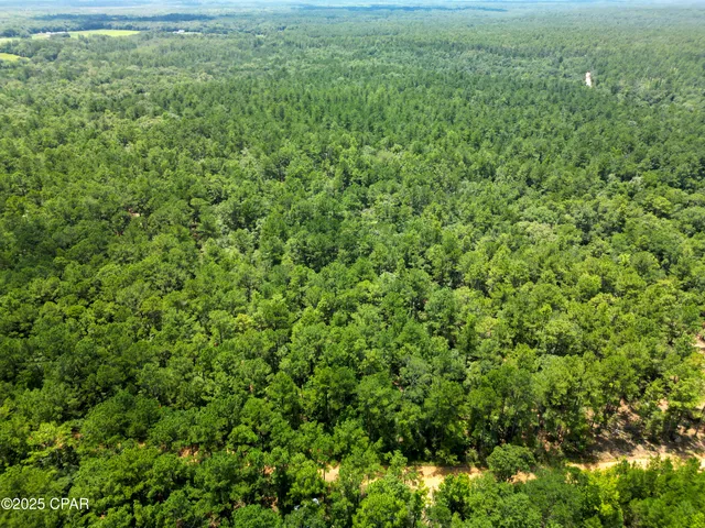 $99,900 | Tbd Creek Run Road, Vernon, FL 32462
