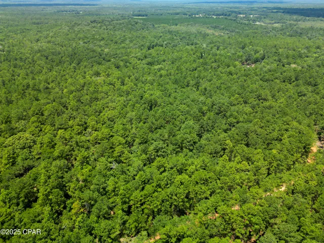 $99,900 | Tbd Creek Run Road, Vernon, FL 32462