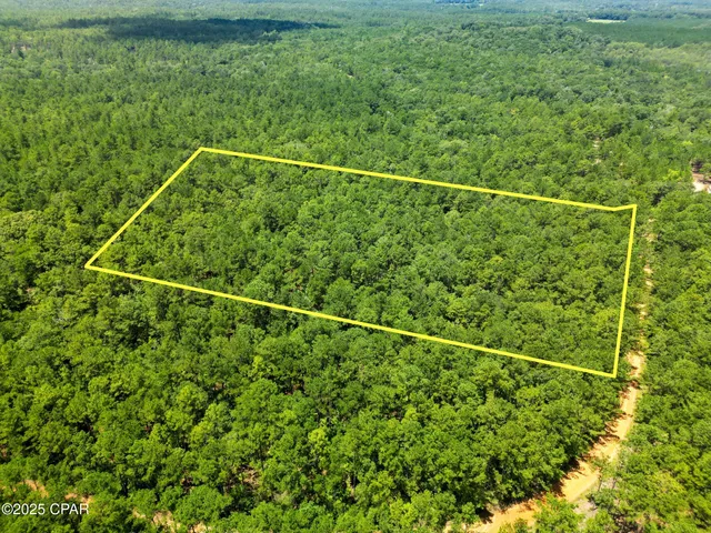 $99,900 | Tbd Creek Run Road, Vernon, FL 32462