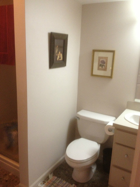 132 Timber Ridge Drive Vassar, MI 48768 - Photo 15 of 21 20373543-14.JPG