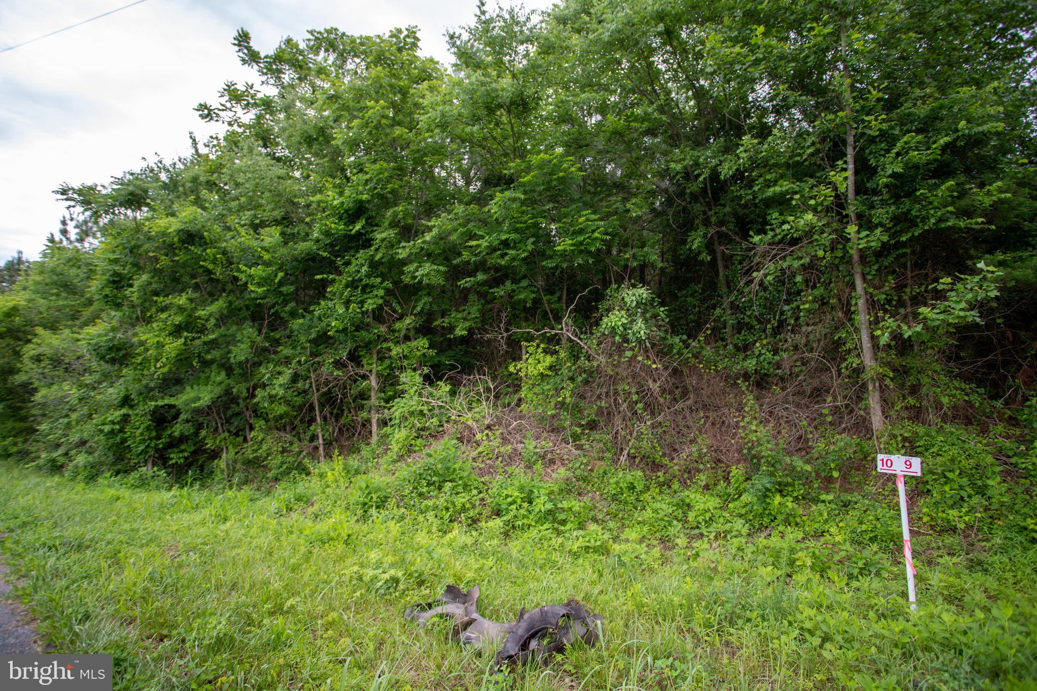 Tbd Old Well Road, Unit LOT 8 Phenix, VA 23959 - Photo 9 of 9