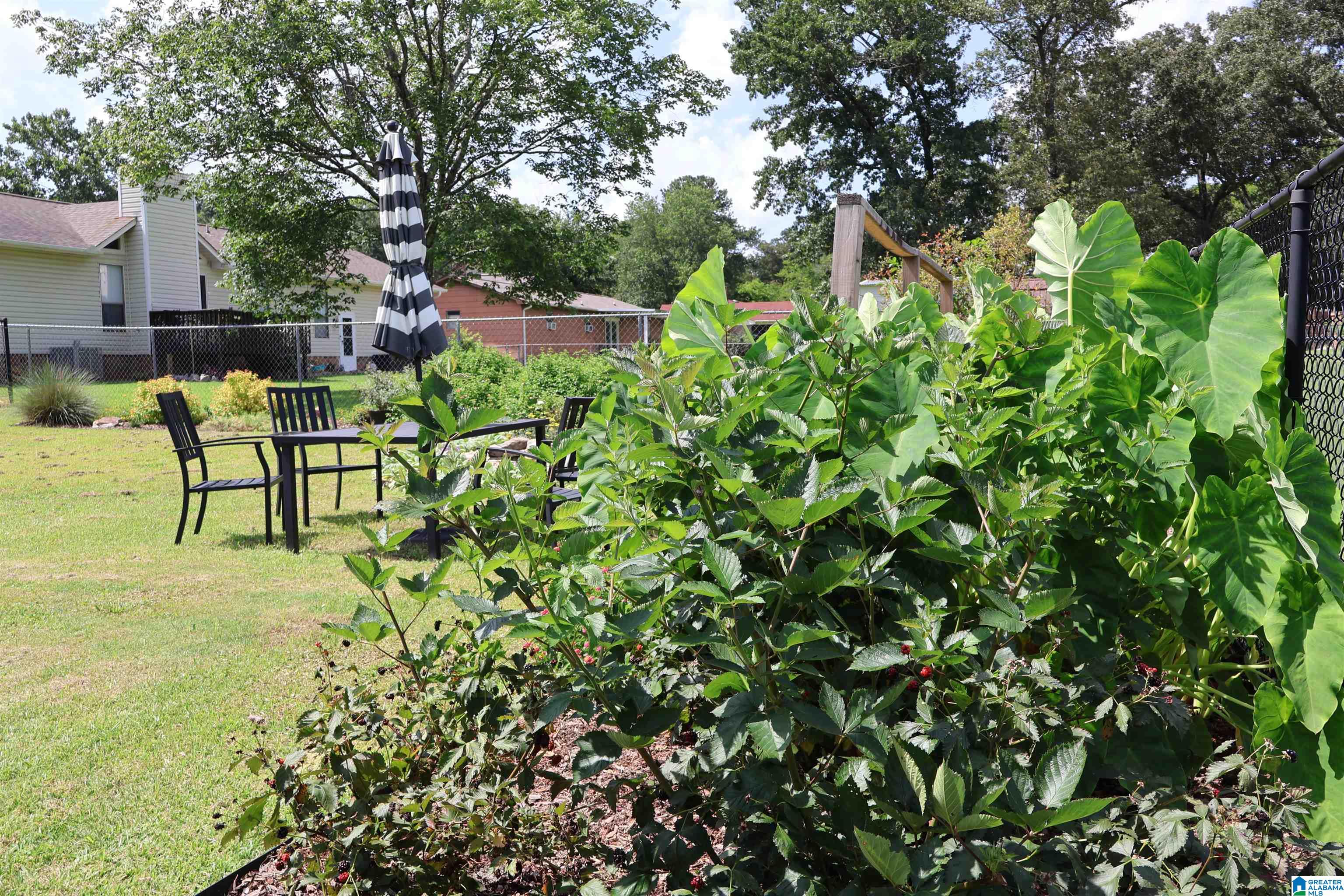 5807 Tommy Town Road Mount Olive, AL 35117 - Photo 14 of 26