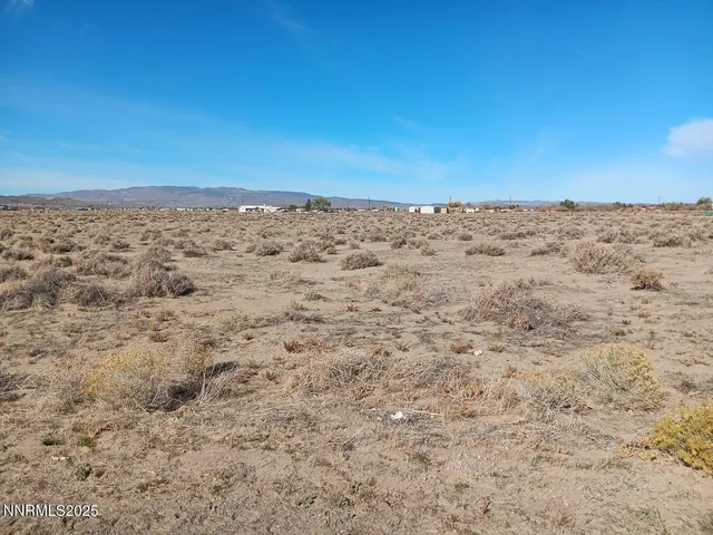 a view of a dry yard with wooden floor