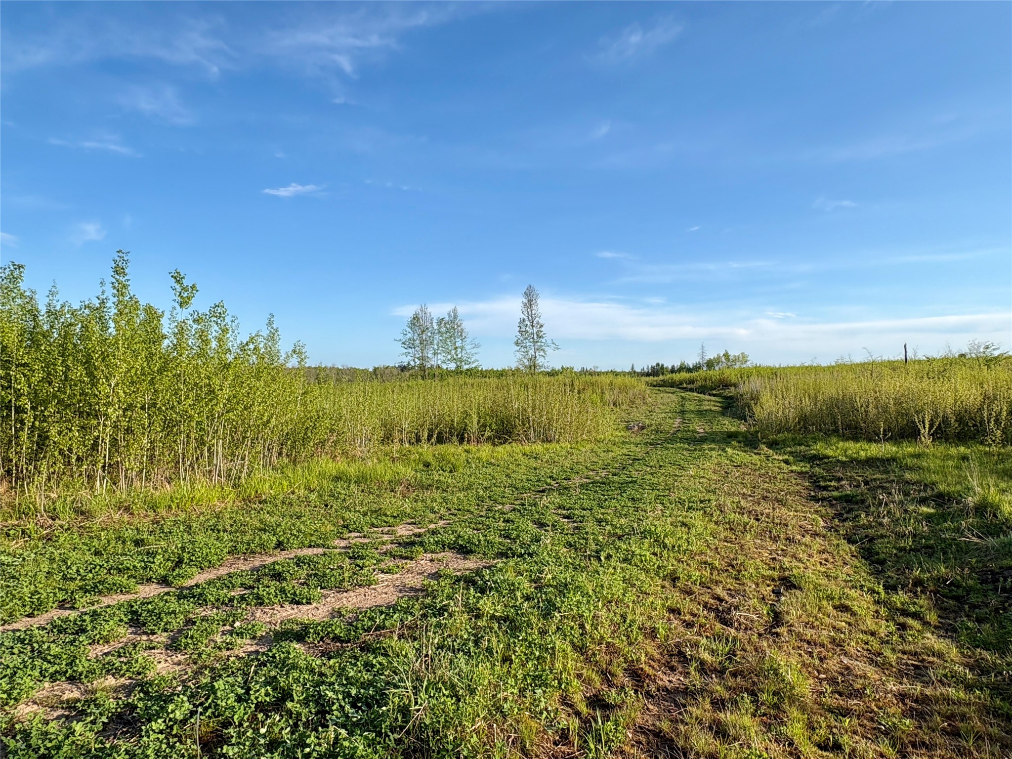 Lot 2 Girod Road Ladysmith, WI 54848 - Photo 6 of 26