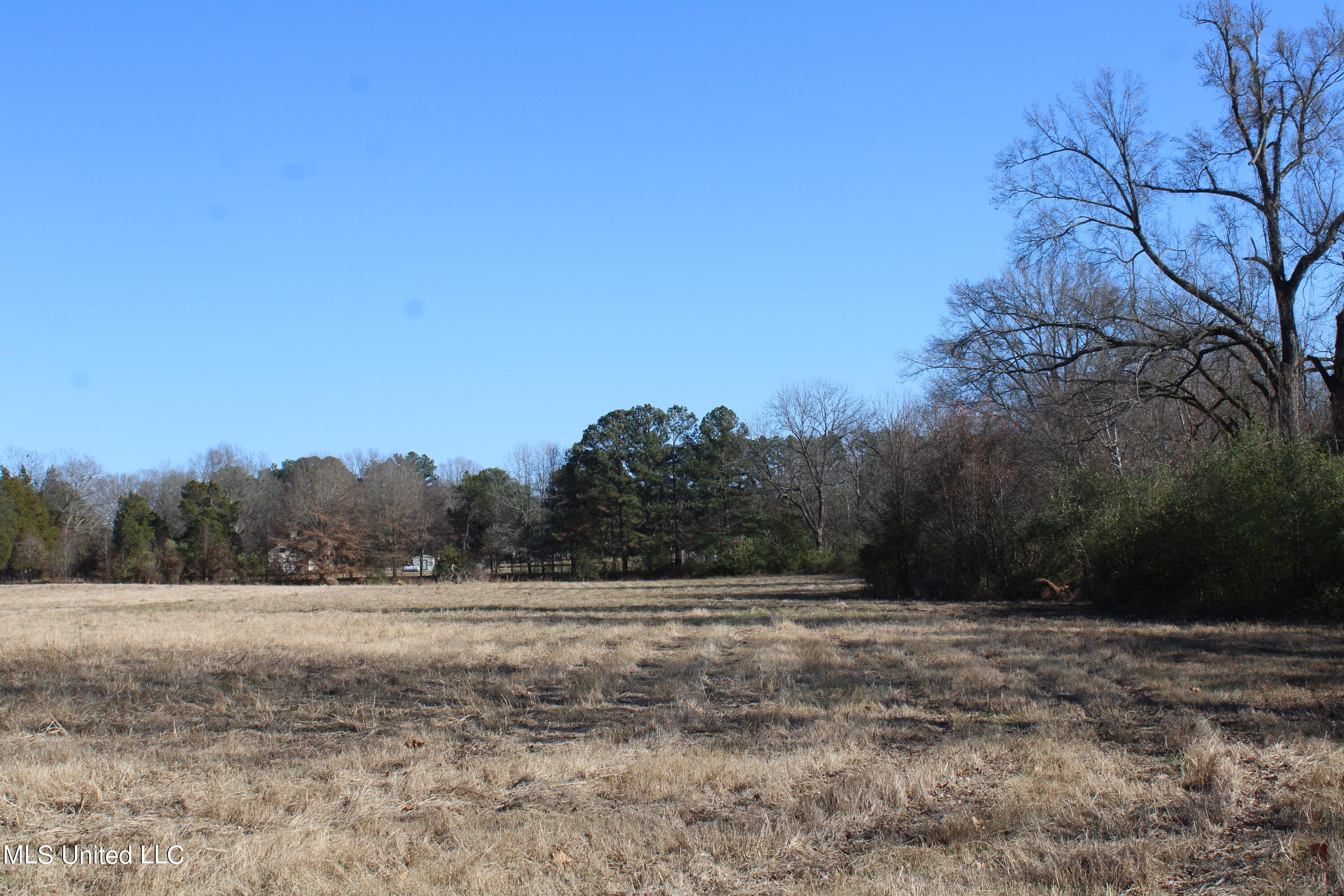 1 Rossville Road Holly Springs, MS 38635 - Photo 11 of 11 IMG_2864