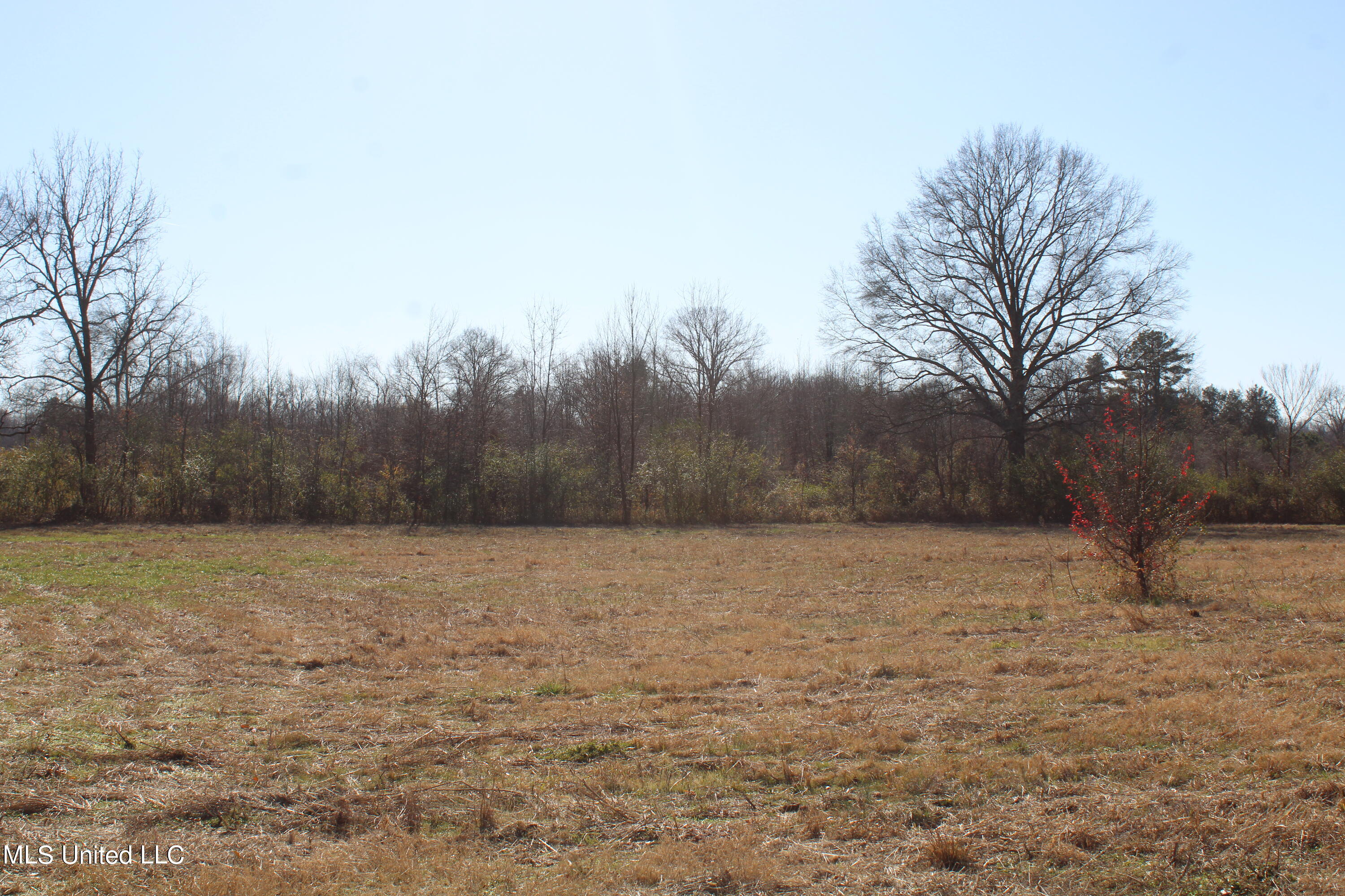 1 Rossville Road Holly Springs, MS 38635 - Photo 2 of 11 IMG_2854