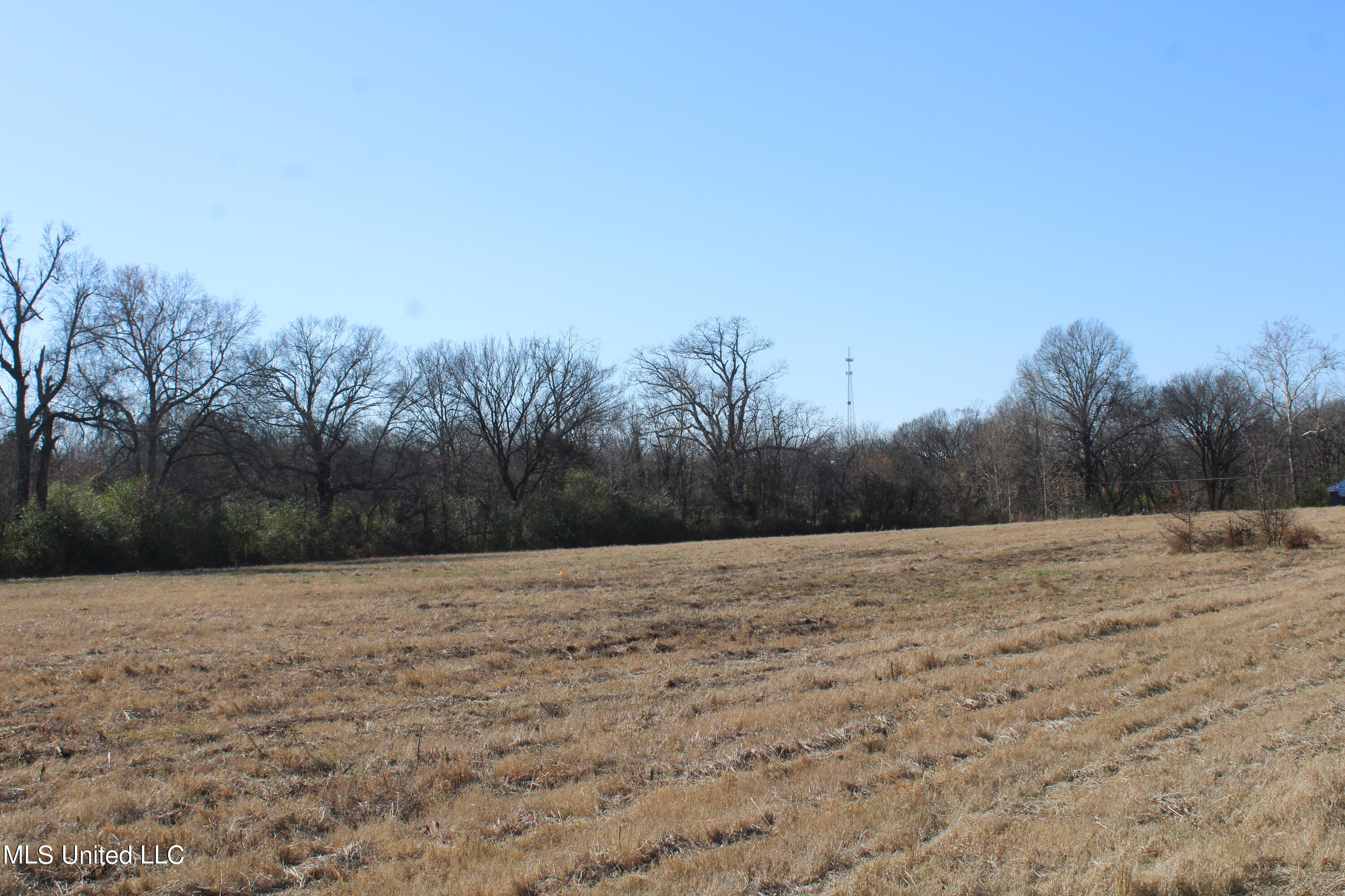 1 Rossville Road Holly Springs, MS 38635 - Photo 4 of 11 IMG_2857