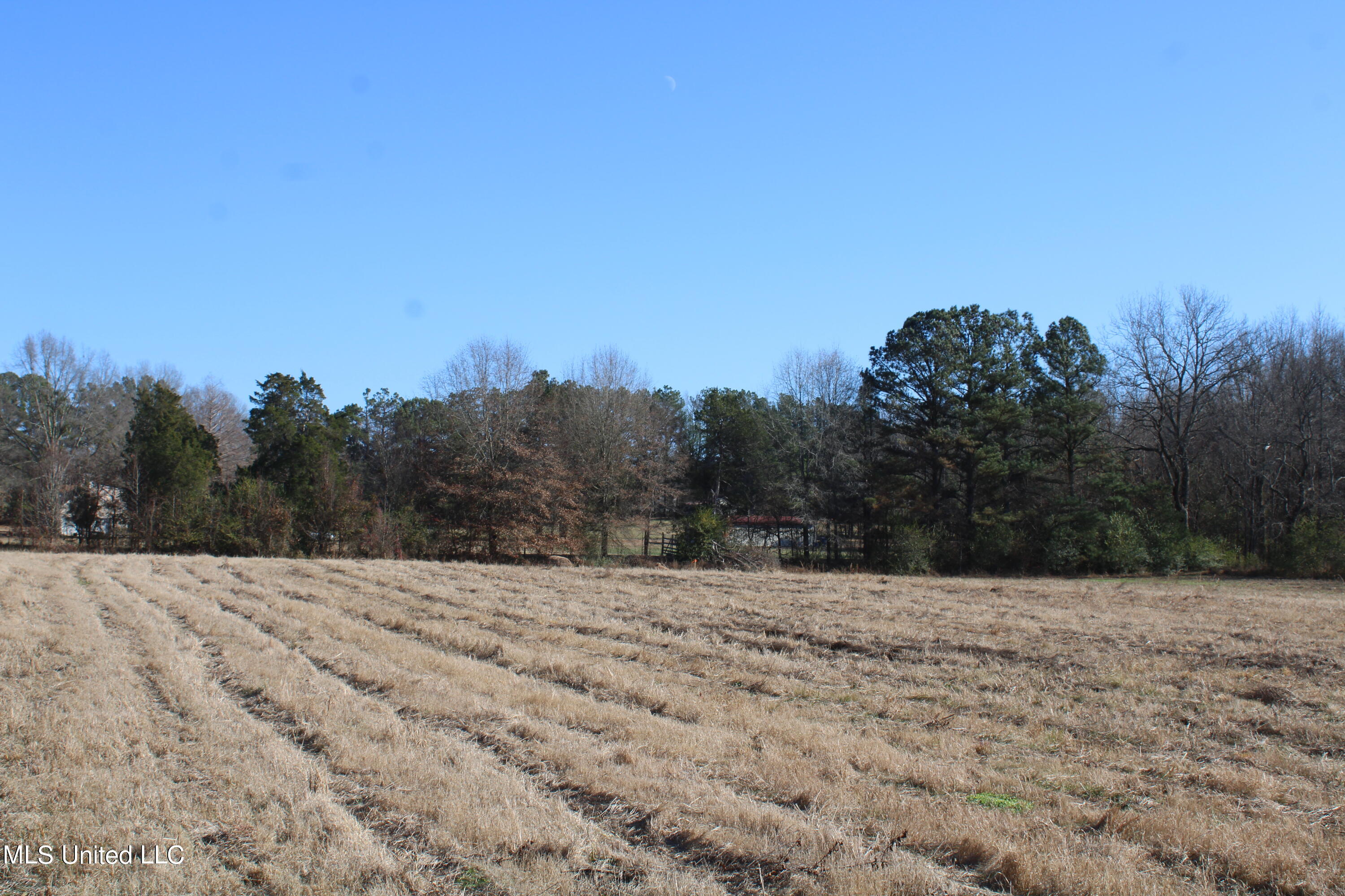 1 Rossville Road Holly Springs, MS 38635 - Photo 5 of 11 IMG_2858