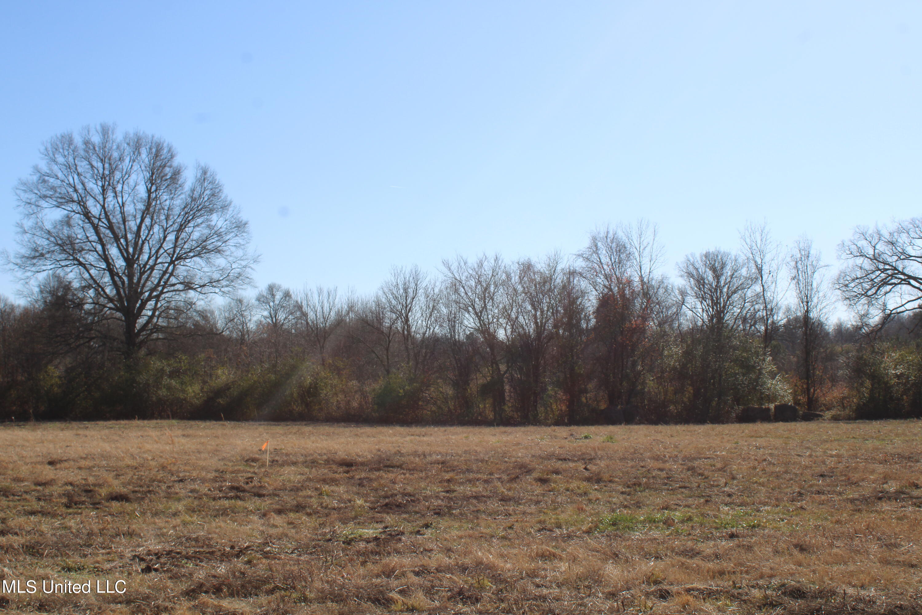 1 Rossville Road Holly Springs, MS 38635 - Photo 6 of 11 IMG_2859