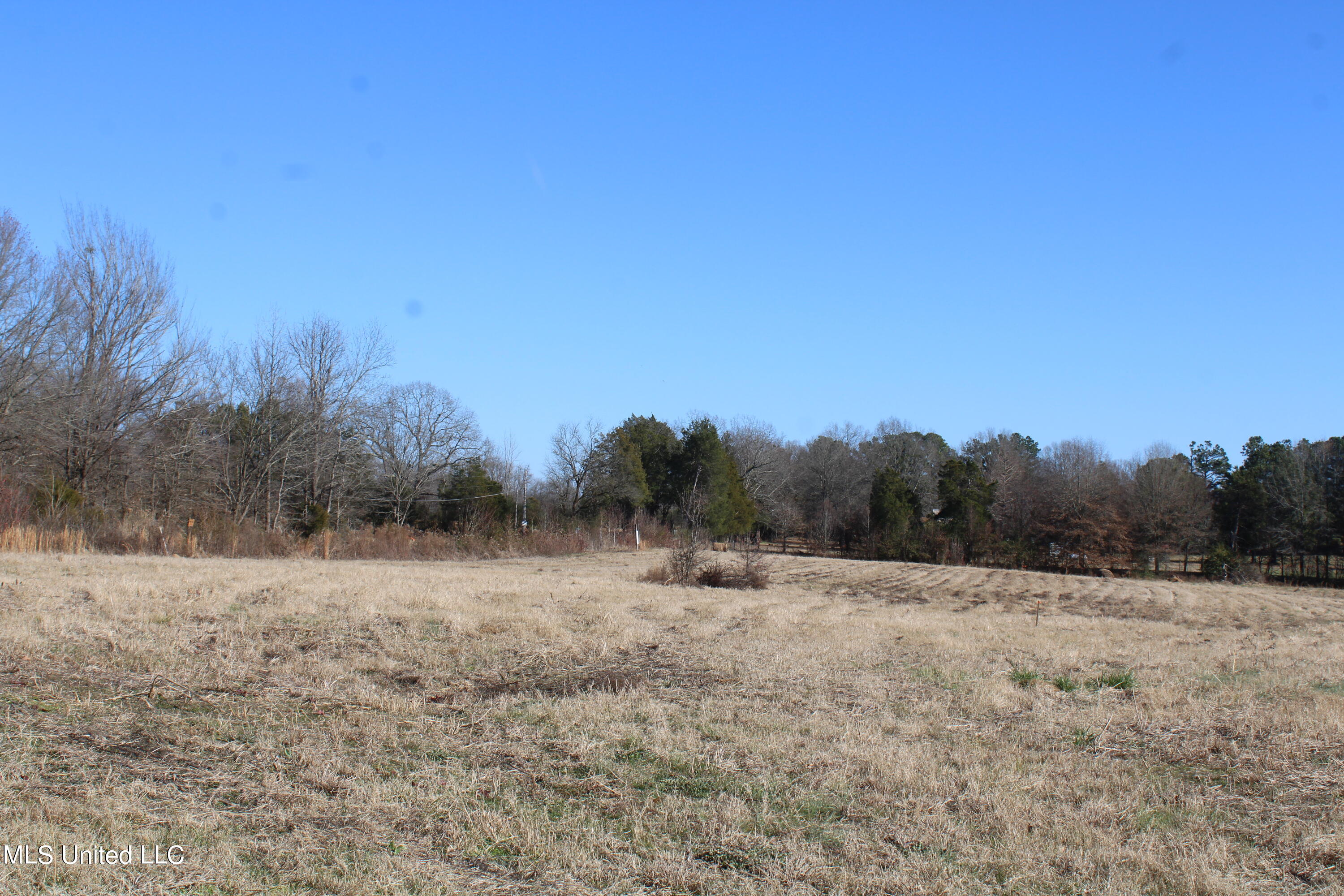 1 Rossville Road Holly Springs, MS 38635 - Photo 7 of 11 IMG_2860