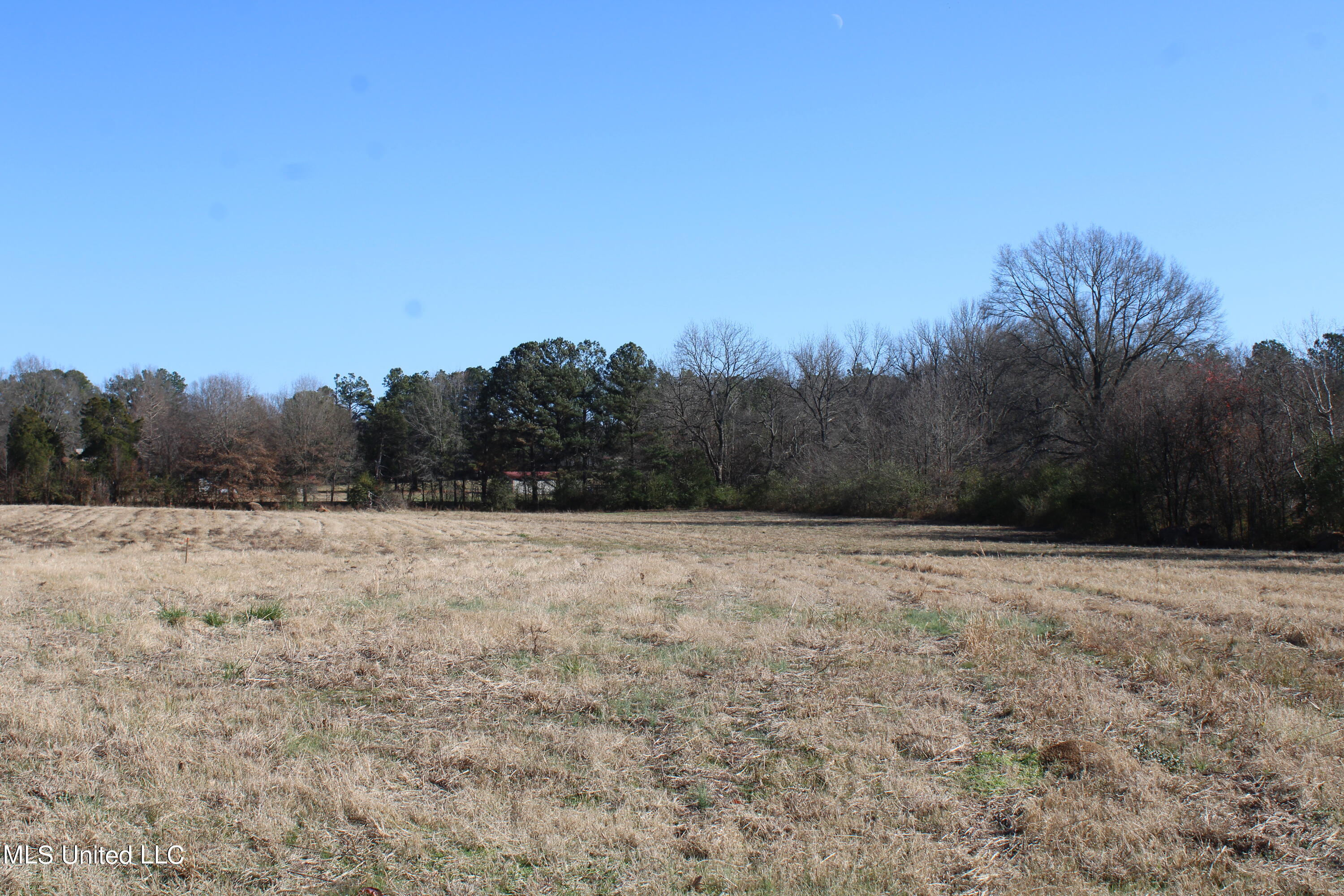 1 Rossville Road Holly Springs, MS 38635 - Photo 8 of 11 IMG_2861
