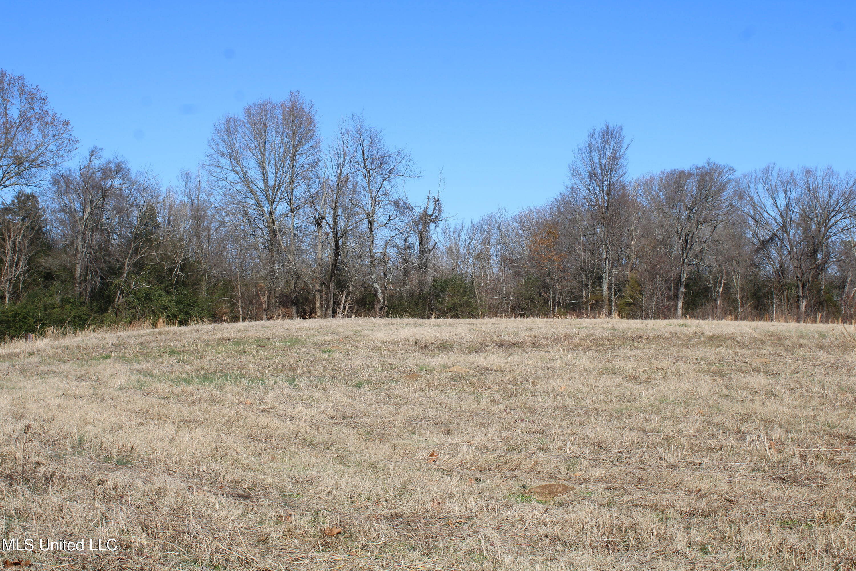 1 Rossville Road Holly Springs, MS 38635 - Photo 9 of 11 IMG_2862