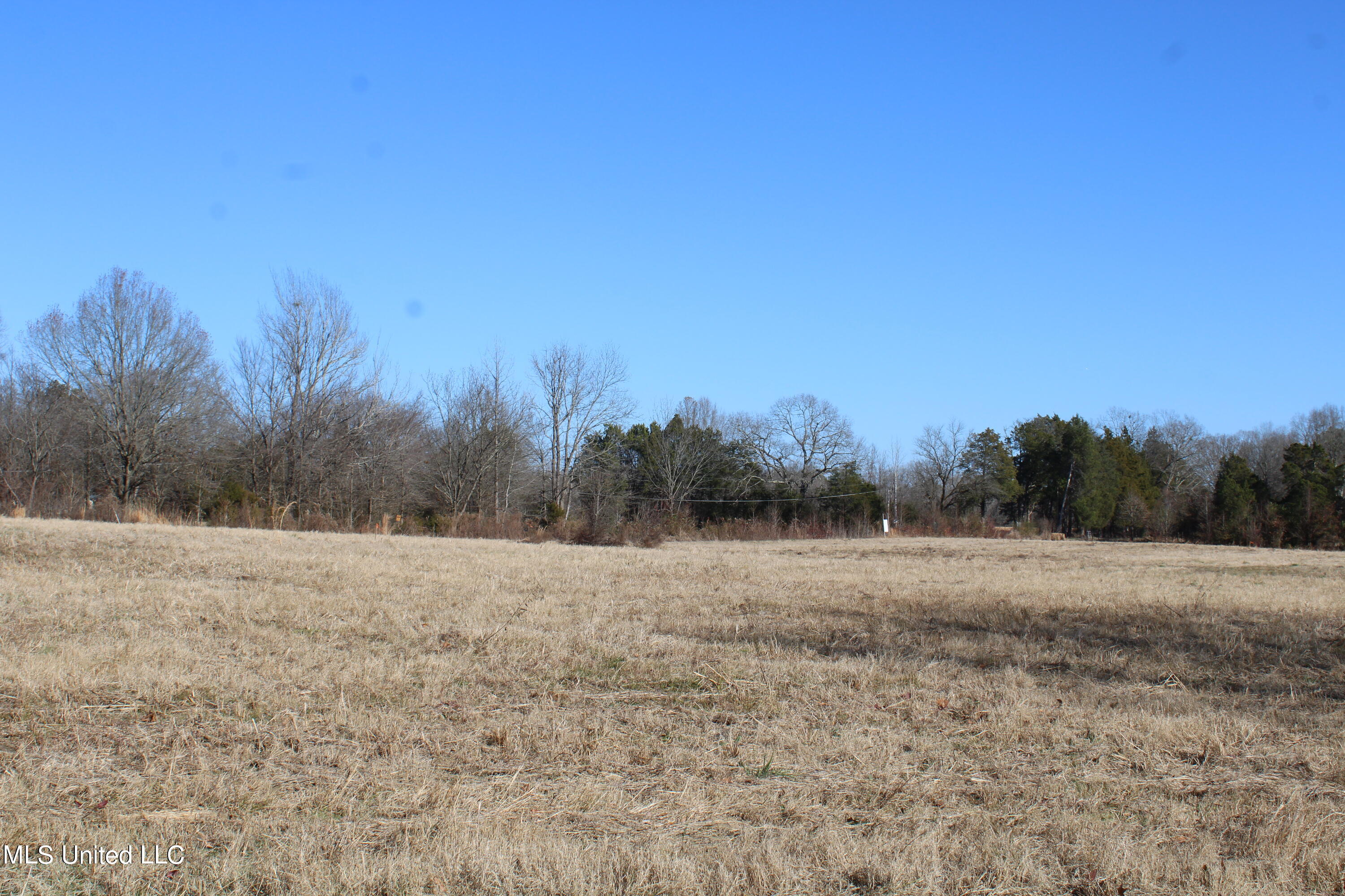 1 Rossville Road Holly Springs, MS 38635 - Photo 10 of 11 IMG_2863