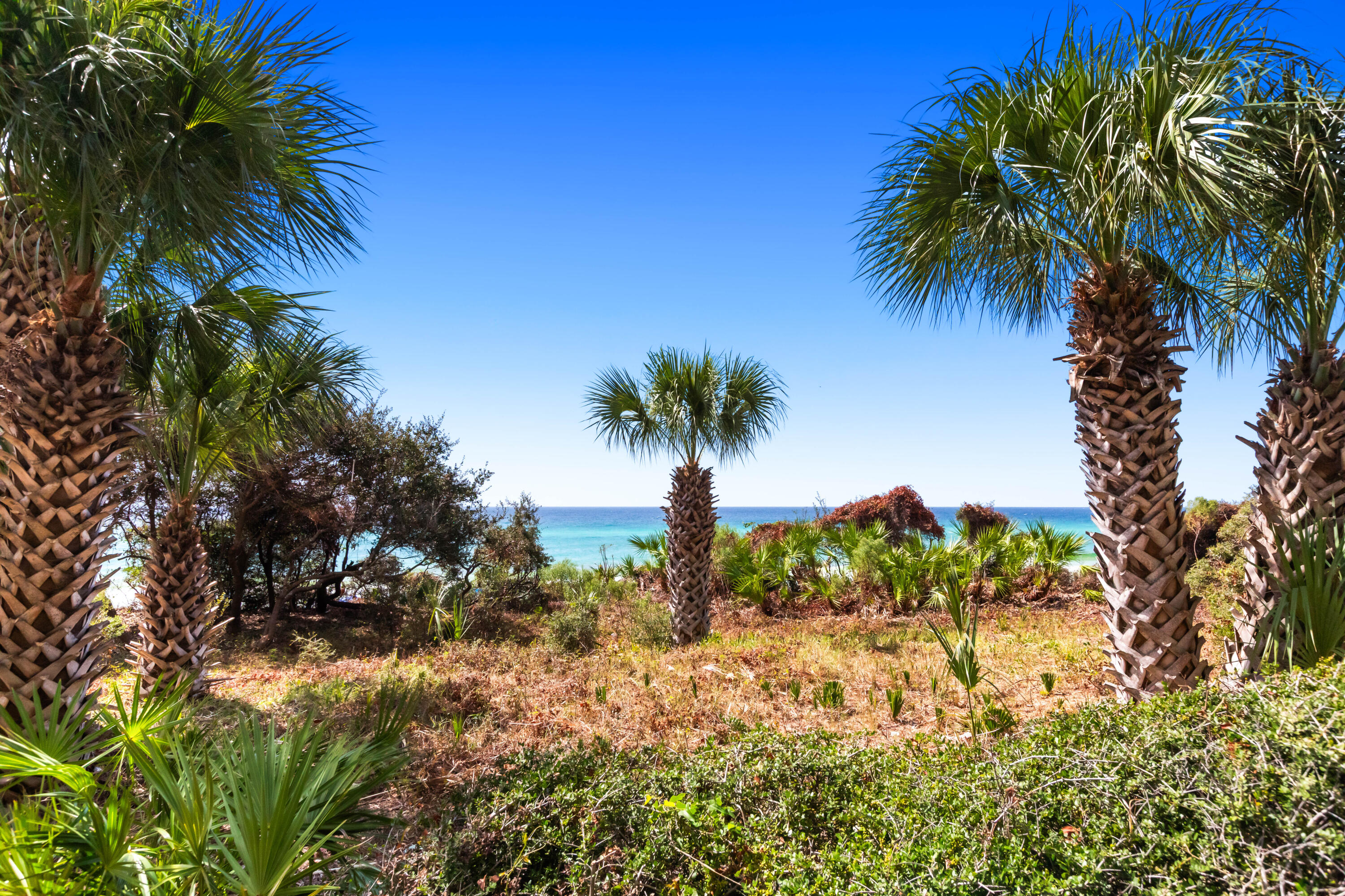 4100 East County Highway 30A, Unit 1604 Santa Rosa Beach, FL 32459 - Photo 32 of 43 a view of a palm trees