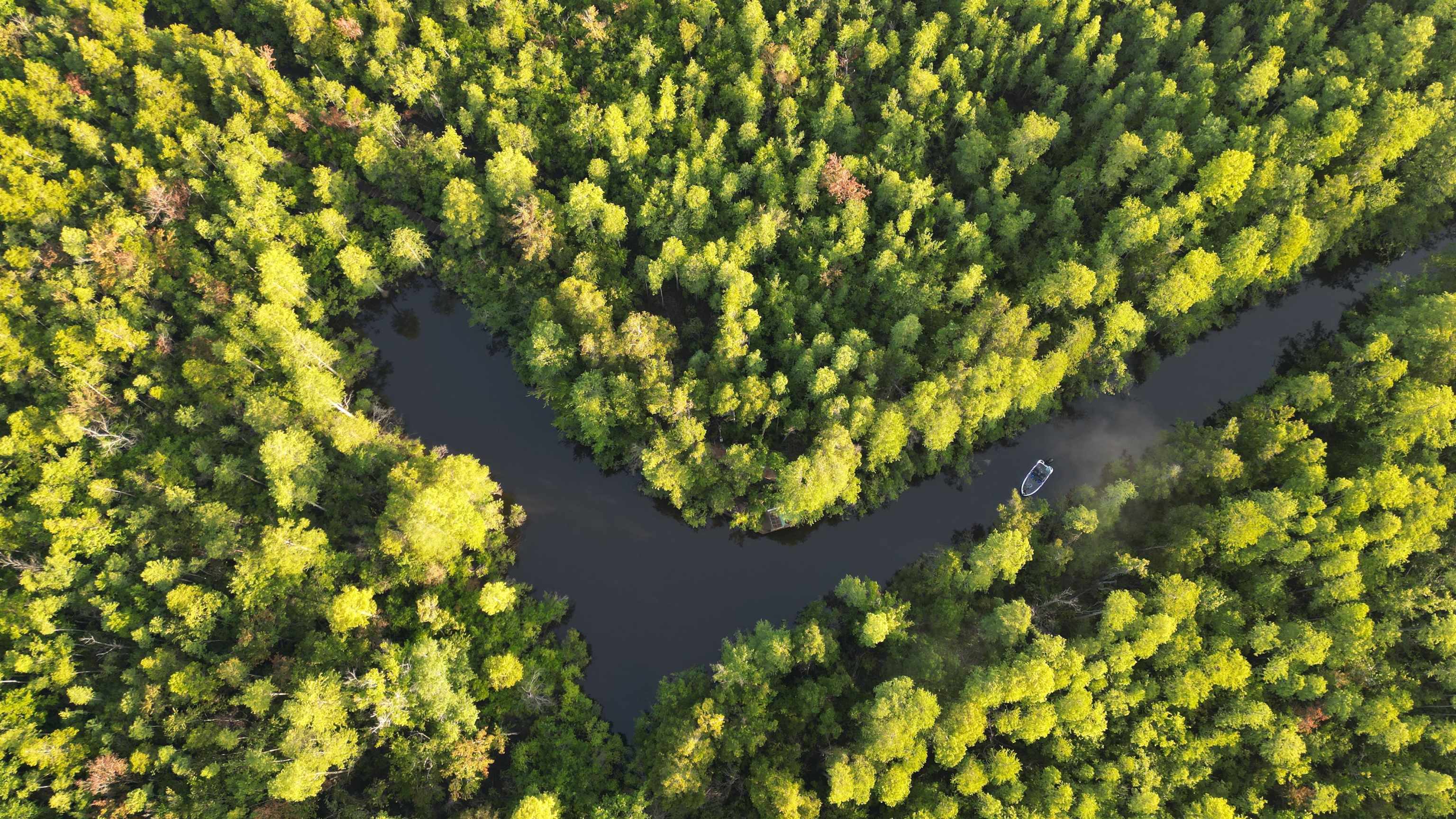 1050 Cedar Creek Landing Road Mount Vernon, AL 36560 - Photo 55 of 59 Aerial View