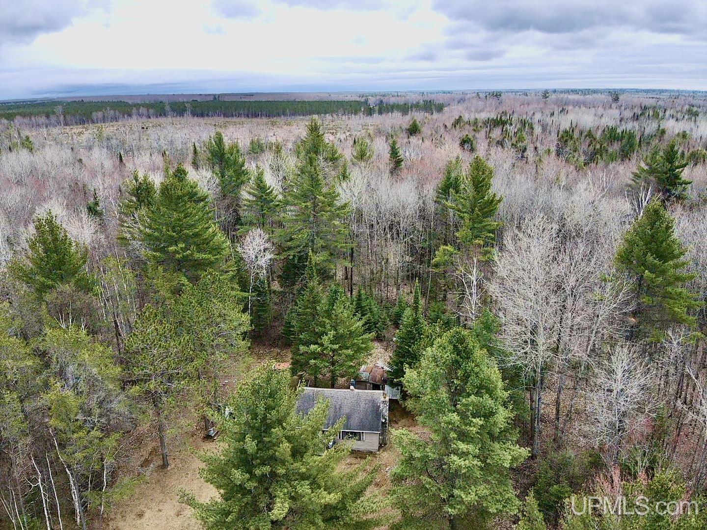 0 Flodin Road Manistique, MI 49854 - Photo 5 of 27 Gallery Image 5
