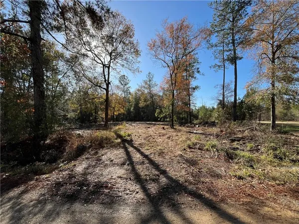 $38,000 | 30840 Hubert Stilley Road, Independence, LA 70443