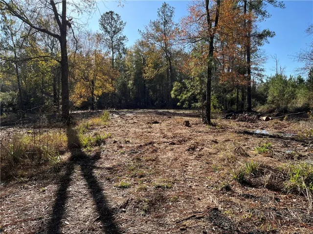 $38,000 | 30840 Hubert Stilley Road, Independence, LA 70443