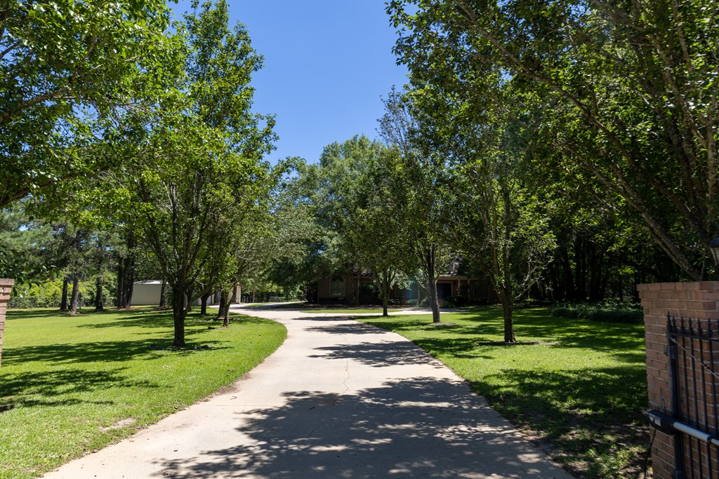 431 Trawick Road Dothan, AL 36305 - Photo 3 of 77