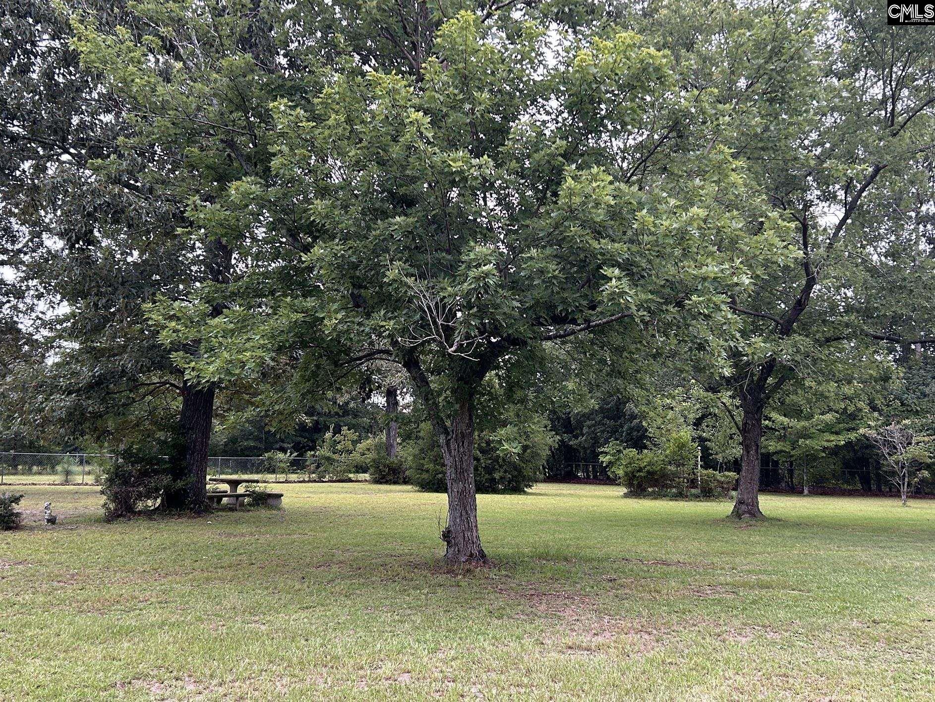 223 Gardners Farm Road Swansea, SC 29160 - Photo 2 of 18