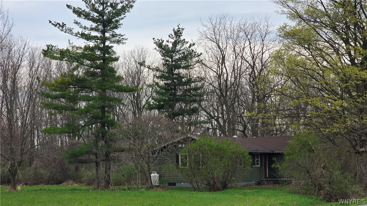 1768 Lewiston Road Alabama, NY 14013 - Photo 32 of 32