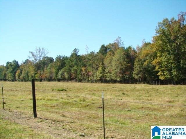 800 Brooks Lake Road Lincoln, AL 35096 - Photo 13 of 33