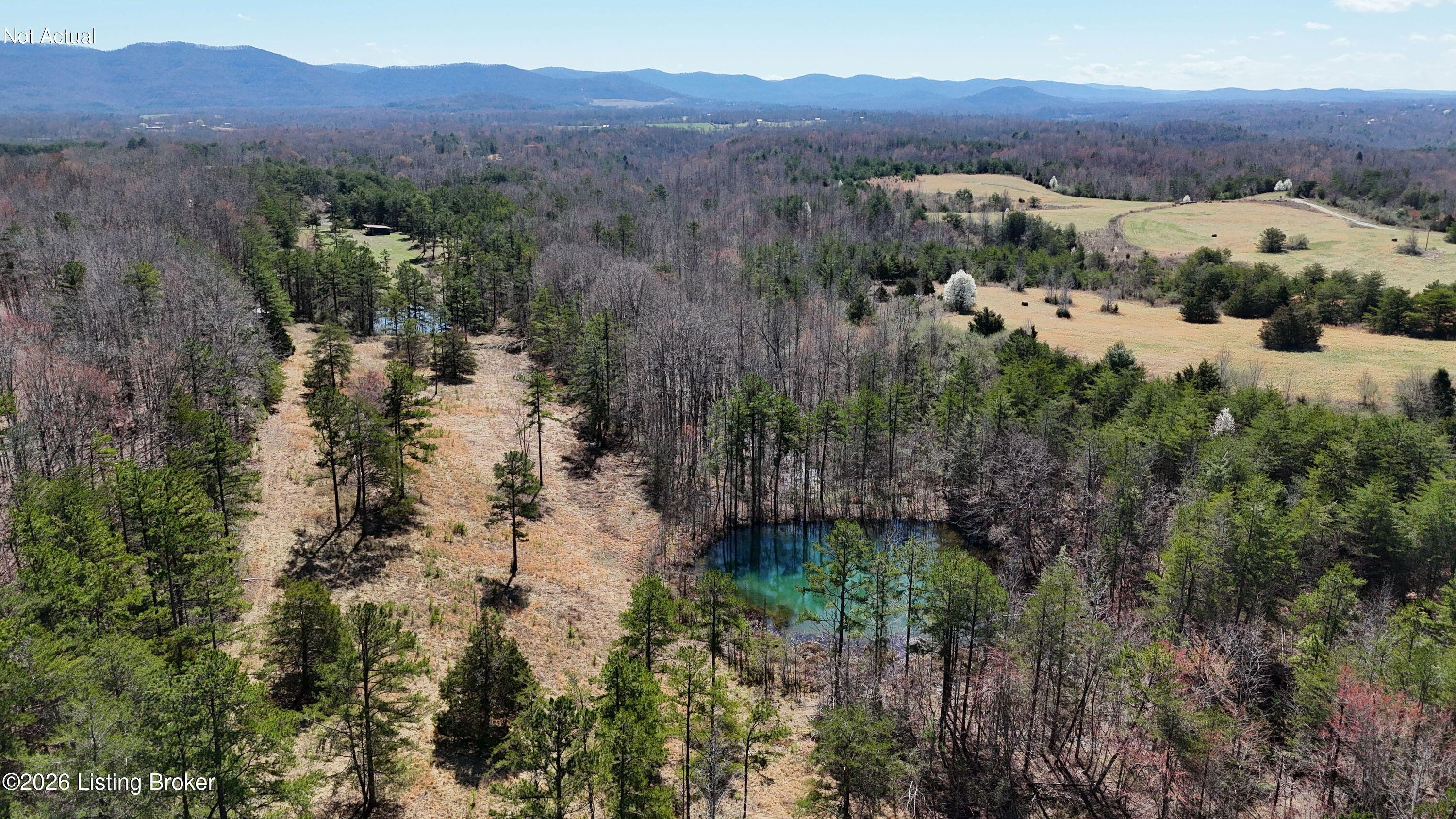 130 Ned Ridge Road Williamsburg, KY 40769 - Photo 1 of 45 dji_fly_20260309_140742_0027_17736819063