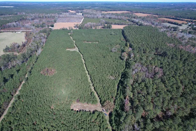 $332,920 | 57.40-acres-tbd Cade Road, Lake City, SC 29560