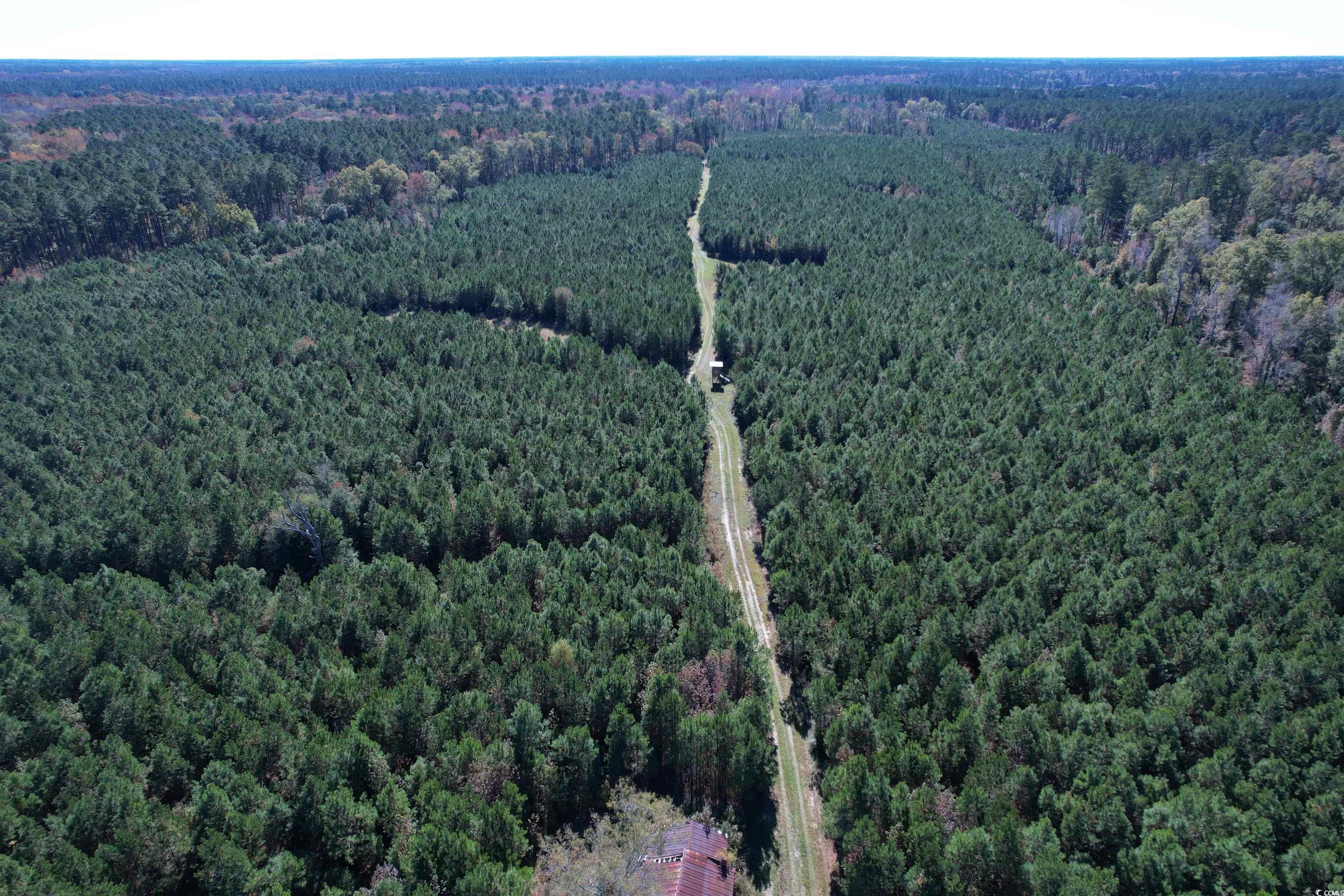 57.40-acres-tbd Cade Road Lake City, SC 29560 - Photo 12 of 22