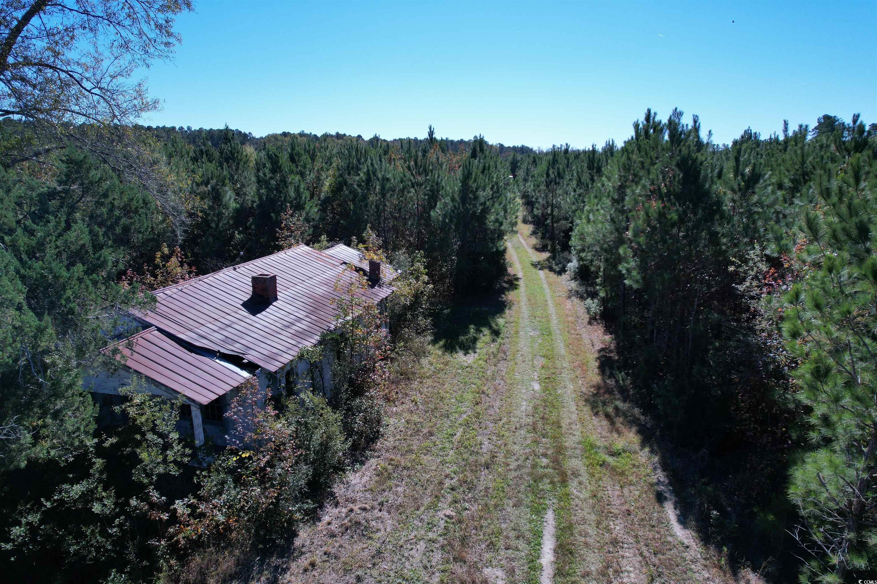 57.40-acres-tbd Cade Road Lake City, SC 29560 - Photo 13 of 22